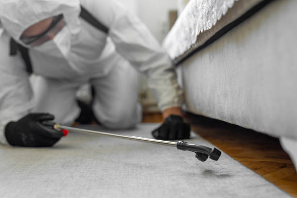 Professional Termite Control technician working in Plano, IL