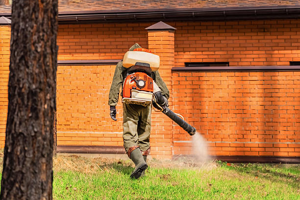 Top rated local Termite Control specialists in Plano, IL